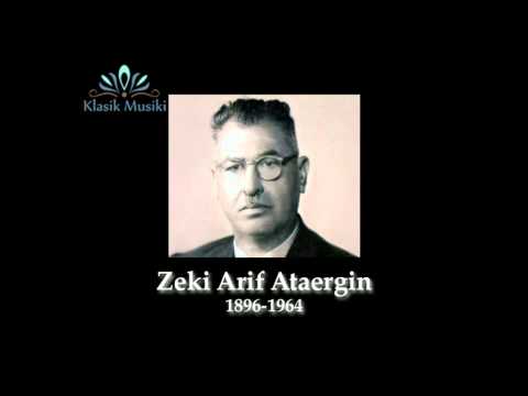 Zeki Arif Ataergin hakkında kısa bilgi