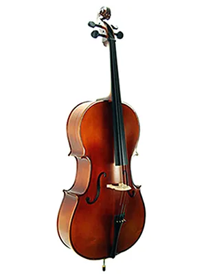 Viyolonsel çalgısı
