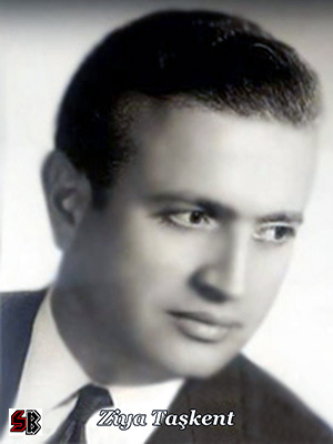 Hiçbir şey kâr etmez deli gönlüme şarkısı