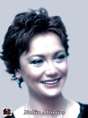 Ne idi ne oldu hâlim şarkısı