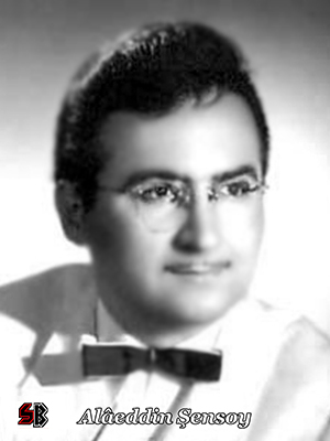 Yıllardan sonra seni görmek istedim şarkısı