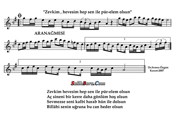 Zevkim hevesim hep sen ile pür-elem olsun notası - 3