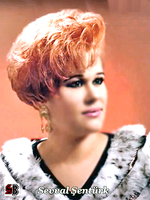 Her akşam karanlıktan uykusuz geçmedim mi şarkısı