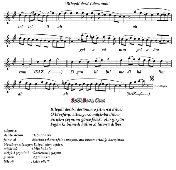 Bileydi Derd-i Derûnum O Fitne-cû Dilber 3 Bileydi derd-i derûnum o fitne-cû dilber notası - 4