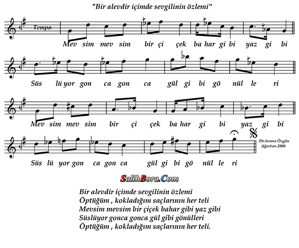 Bir Alevdir İçimde Sevgilinin Özlemi 3 Bir alevdir içimde sevgilinin özlemi notası - 4
