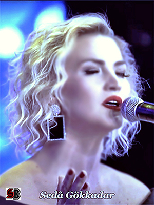 Bir gün şu elleri seyran ederken şarkısı